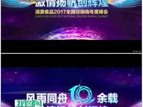 經(jīng)銷(xiāo)商峰會(huì )策劃方案