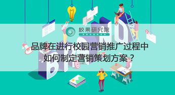 學(xué)校網(wǎng)絡(luò )營(yíng)銷(xiāo)策劃與方案編制