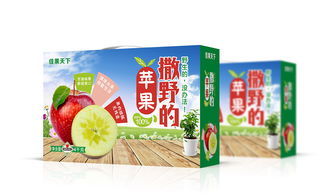 蘋(píng)果飲料品牌策劃方案