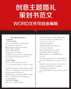 創(chuàng  )意策劃方案范文