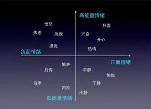 微客網(wǎng)營(yíng)銷(xiāo)策劃方案
