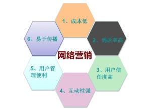 枸杞網(wǎng)絡(luò )營(yíng)銷(xiāo)策劃方案