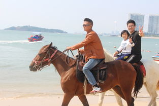 海邊戶(hù)外拓展策劃方案