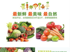 蔬菜店營(yíng)銷(xiāo)策劃方案