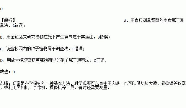 觀(guān)察法的策劃方案