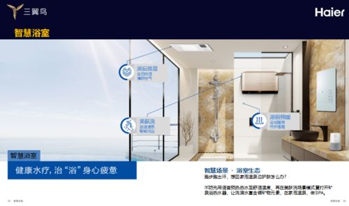 家裝協(xié)會(huì )策劃方案