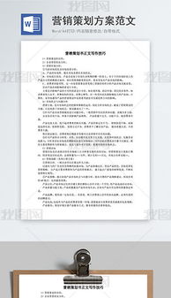 廣告營(yíng)銷策劃方案范文