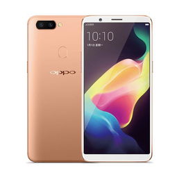 oppo手機校園策劃方案