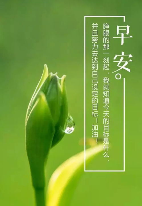 顧家,句子,能量,男人