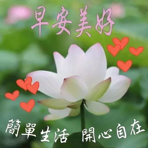 問好,句子,能量,早上
