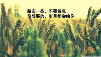 早上勵(lì)志語句正能量的句子