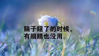 周一祝福語正能量,晚上祝福語正能量短句,護(hù)士祝福語正能量短句