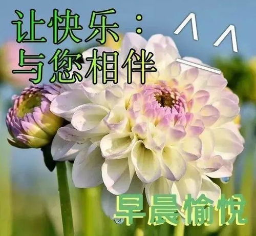早安朋友圈問候語正能量句子,早安問候語正能量簡短句子,秋天早安問候語正能量句子