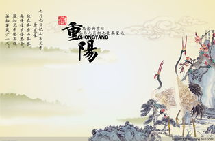 重陽(yáng)節,九九,句子,能量