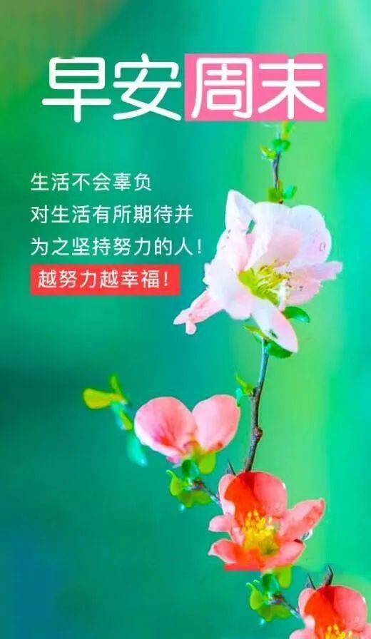 句子,心語(yǔ),早餐,能量