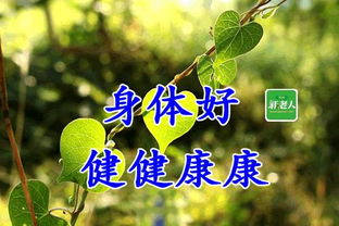 句子,能量,感謝,同學