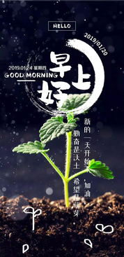 鼓勵初一兒子正能量的句子