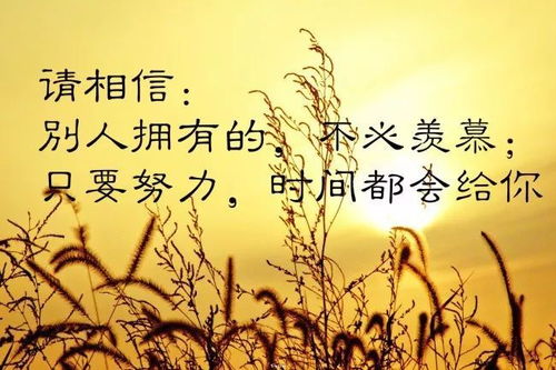 句子,能量,活著(zhù)