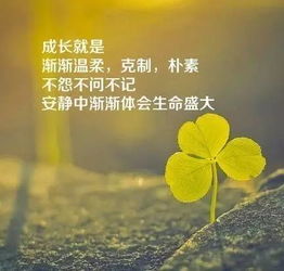 微商正能量早安安語(yǔ)吸引句子