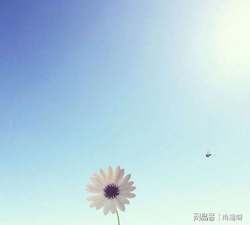 激勵上進(jìn)正能量句子200字,生活陽(yáng)光正能量的句子,陽(yáng)光勵志正能量的句子