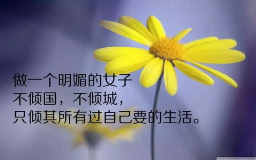 短句,句子,勵志,能量