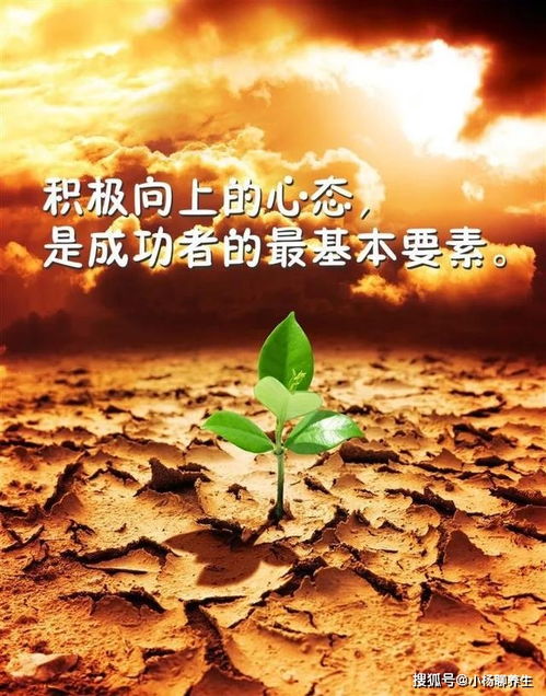 努力堅持正能量的句子經(jīng)典語(yǔ)句,工作努力正能量的句子經(jīng)典語(yǔ)句,正能量努力的句子經(jīng)典語(yǔ)句
