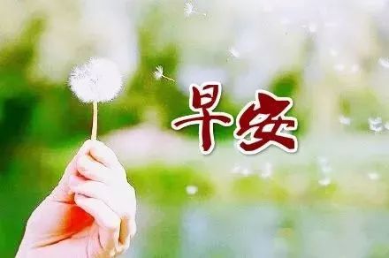 生活陽(yáng)光正能量的句子簡(jiǎn)短,生活積極陽(yáng)光正能量的句子,生活積極陽(yáng)光正能量的句子簡(jiǎn)短
