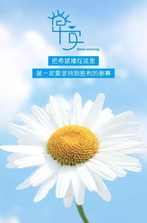 簡(jiǎn)短,句子,朋友圈,能量
