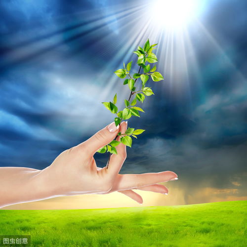 向上陽(yáng)光正能量的句子