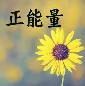 充滿(mǎn)正能量的成語(yǔ)句子