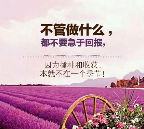 早間,句子,能量,今日