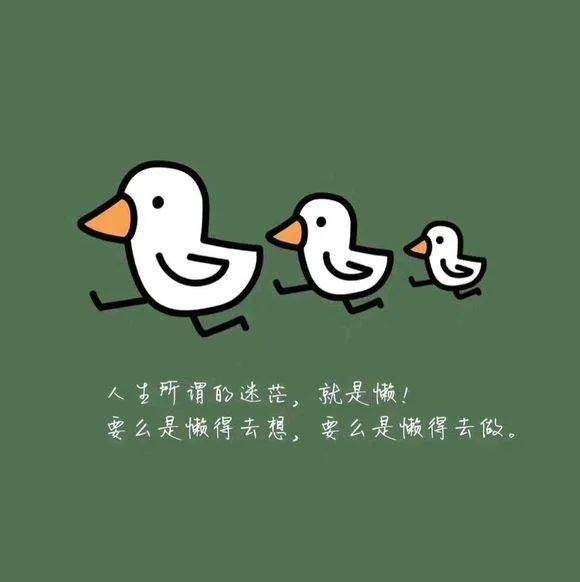 關(guān)于正能量的排比句子,拼搏努力正能量的句子,努力優(yōu)秀的正能量句子