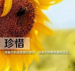 早安正能量經(jīng)典語(yǔ)句微商早安勵志句子