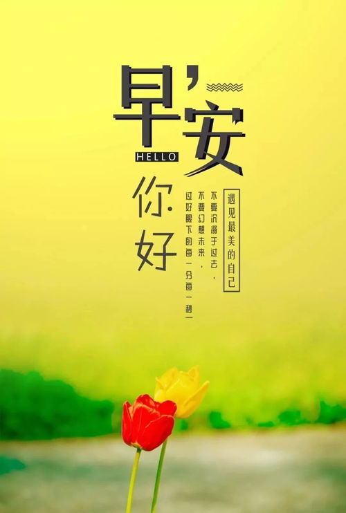 星期天早安心語(yǔ)正能量句子