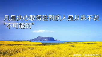 人生情感正能量勵志的句子
