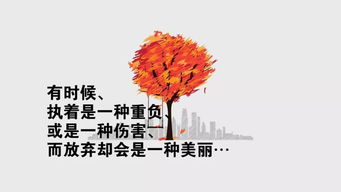 爭氣,句子,能量