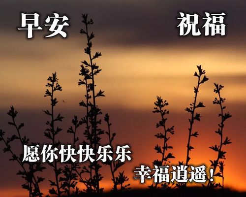 句子,雨天,能量,努力