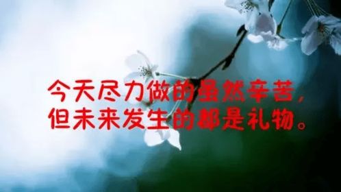 鼓勵自己的正能量句子