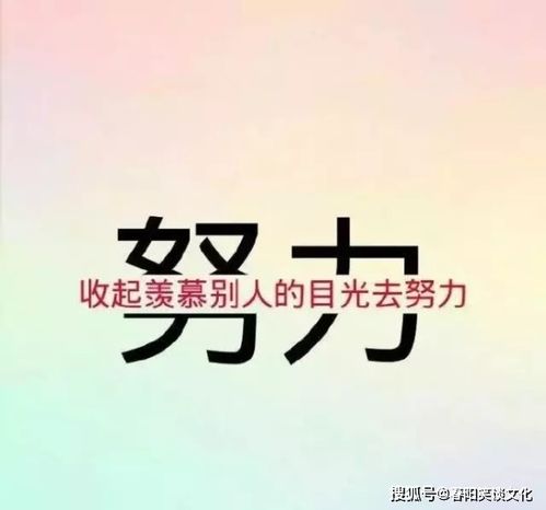 努力優(yōu)秀的正能量句子,努力前行的正能量句子,為目標(biāo)不斷努力的正能量句子