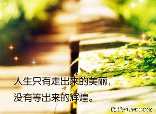 表示女人正能量的句子