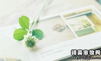 句子,能量