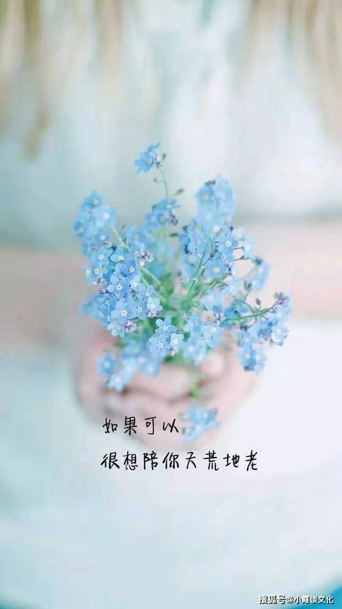 歲月正能量句子說(shuō)說(shuō)心情