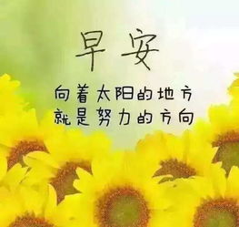 積極陽(yáng)光正能量早安句子,早安勵志正能量的句子,早安語(yǔ)錄正能量的句子