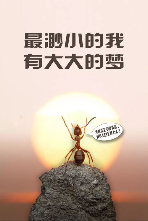 形容勵志正能量早安的句子