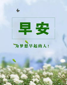每天需要滿(mǎn)滿(mǎn)正能量的句子