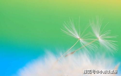 句子,滿(mǎn)滿(mǎn),能量,陽(yáng)光