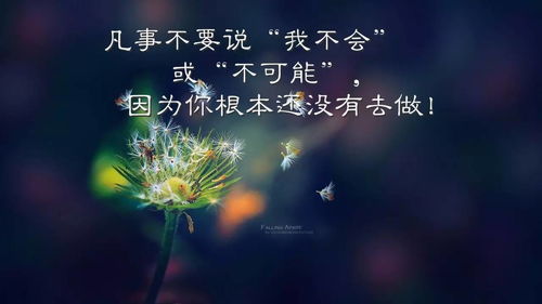廣告行業(yè)正能量的句子經(jīng)典