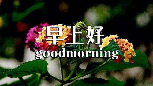 早上好勵志正能量句子,早上好勵志正能量朋友圈句子大全,早上好勵志正能量句子2020
