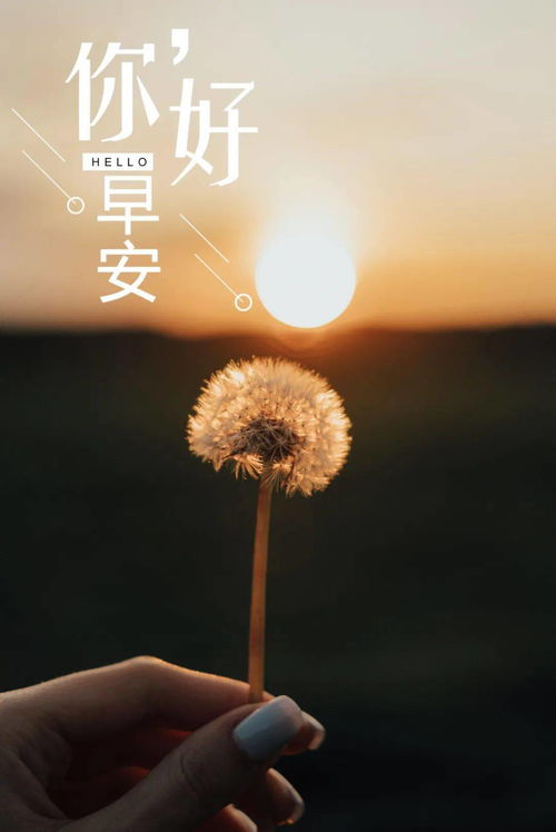 讓人堅強正能量的句子