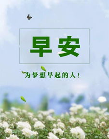 早安有正能量的句子發(fā)朋友圈怎么寫(xiě),早安勵志正能量的句子,早安語(yǔ)錄正能量的句子